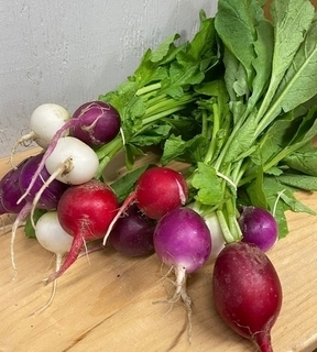Radish Red Bunch 